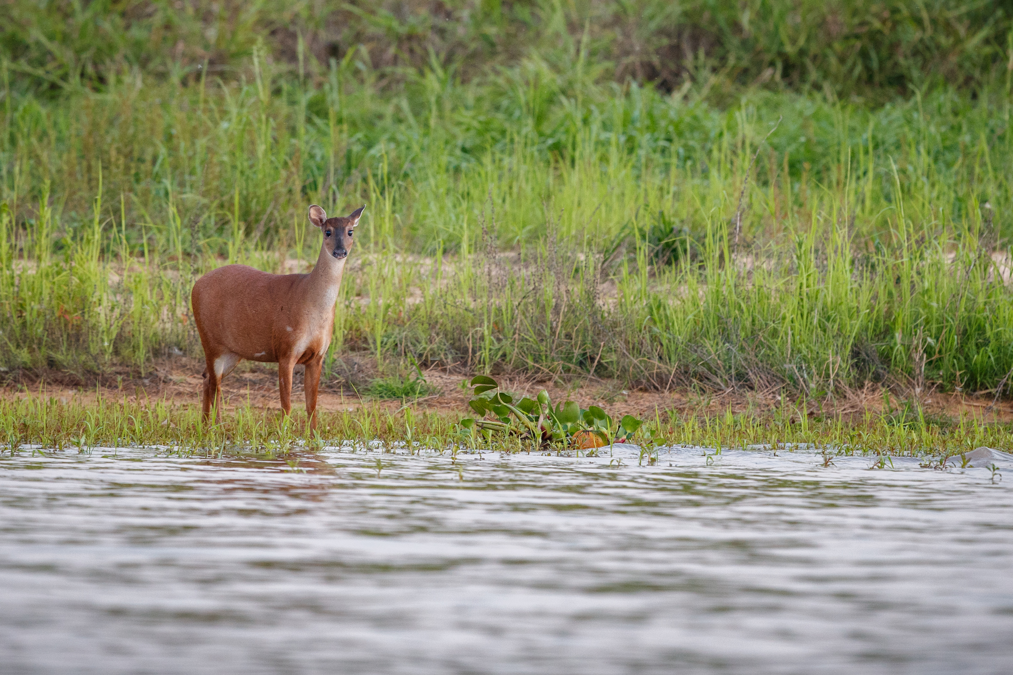 Keoladeo National Park